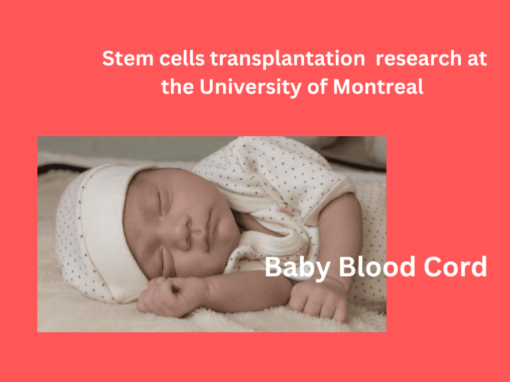 stem cells research